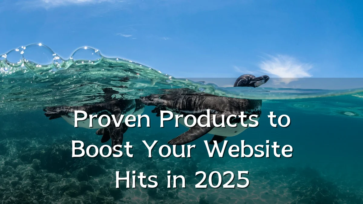 Proven Products to Boost Your Website Hits in 2025