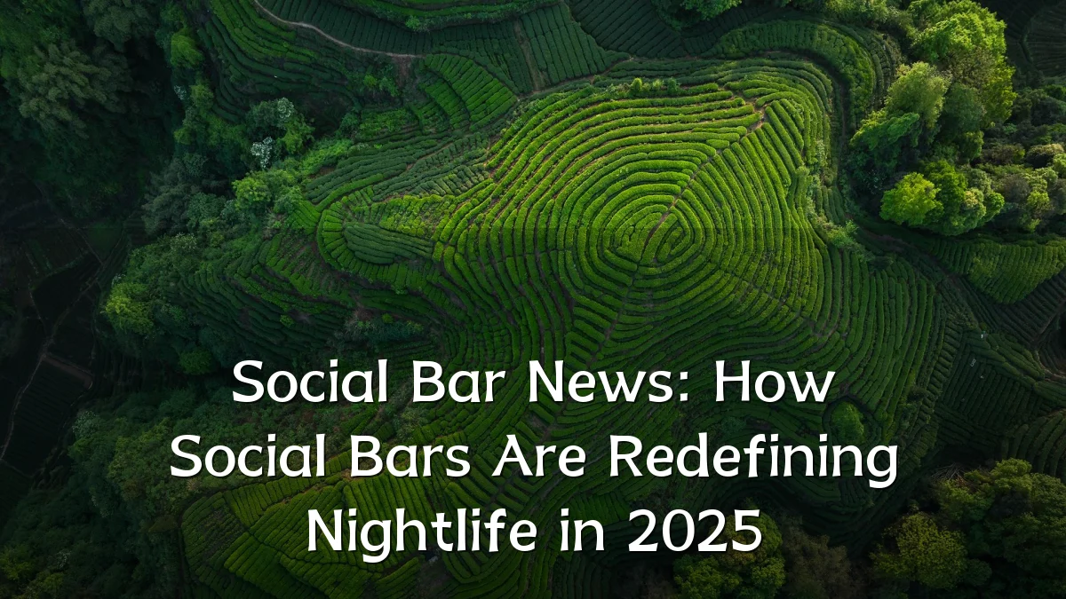 Social Bar News: How Social Bars Are Redefining Nightlife in 2025