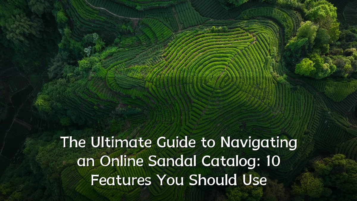 The Ultimate Guide to Navigating an Online Sandal Catalog: 10 Features You Should Use