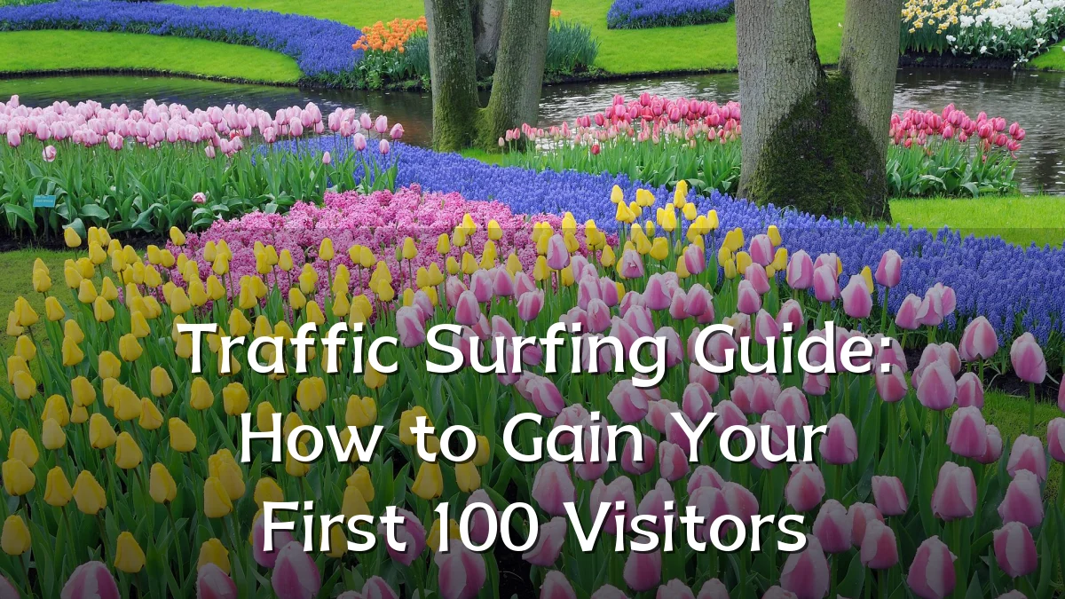 Traffic Surfing Guide: How to Gain Your First 100 Visitors