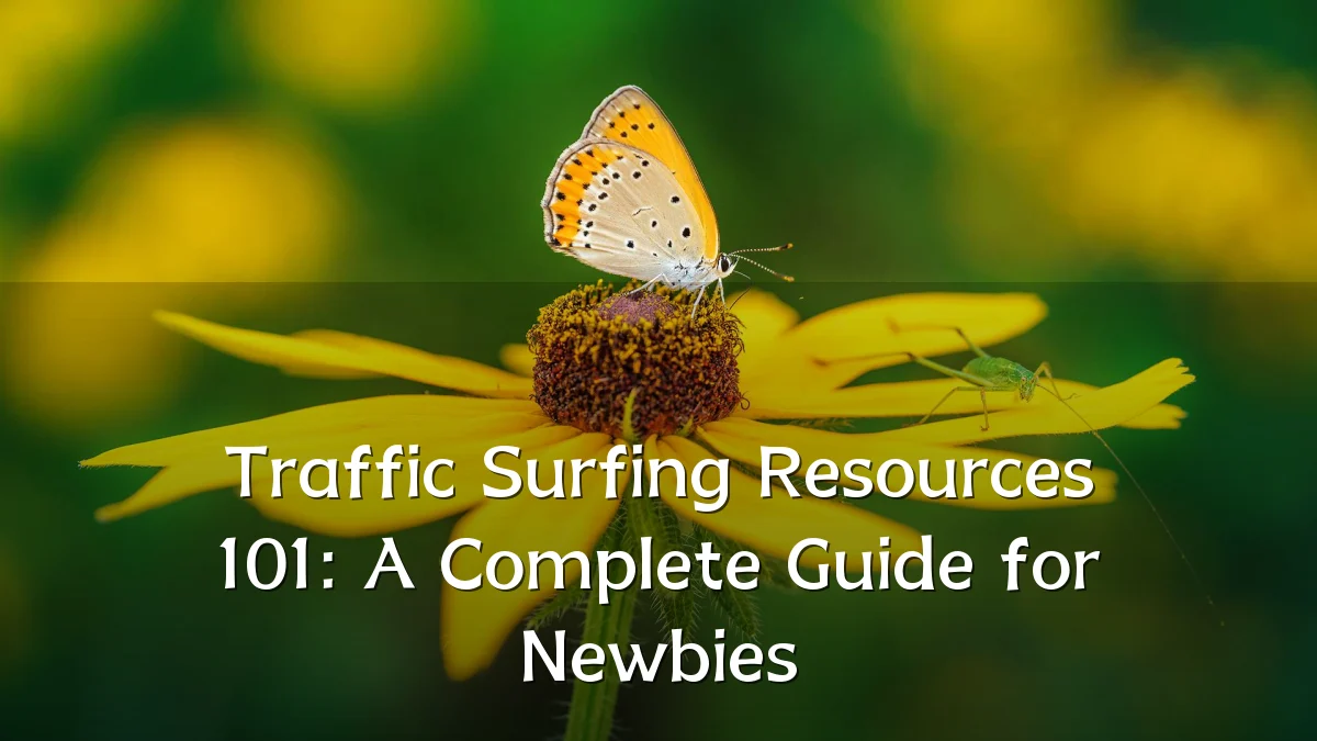 Traffic Surfing Resources 101: A Complete Guide for Newbies