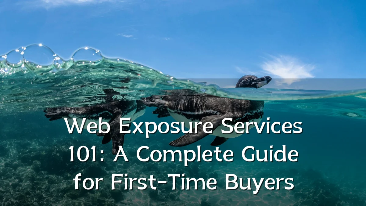 Web Exposure Services 101: A Complete Guide for First-Time Buyers