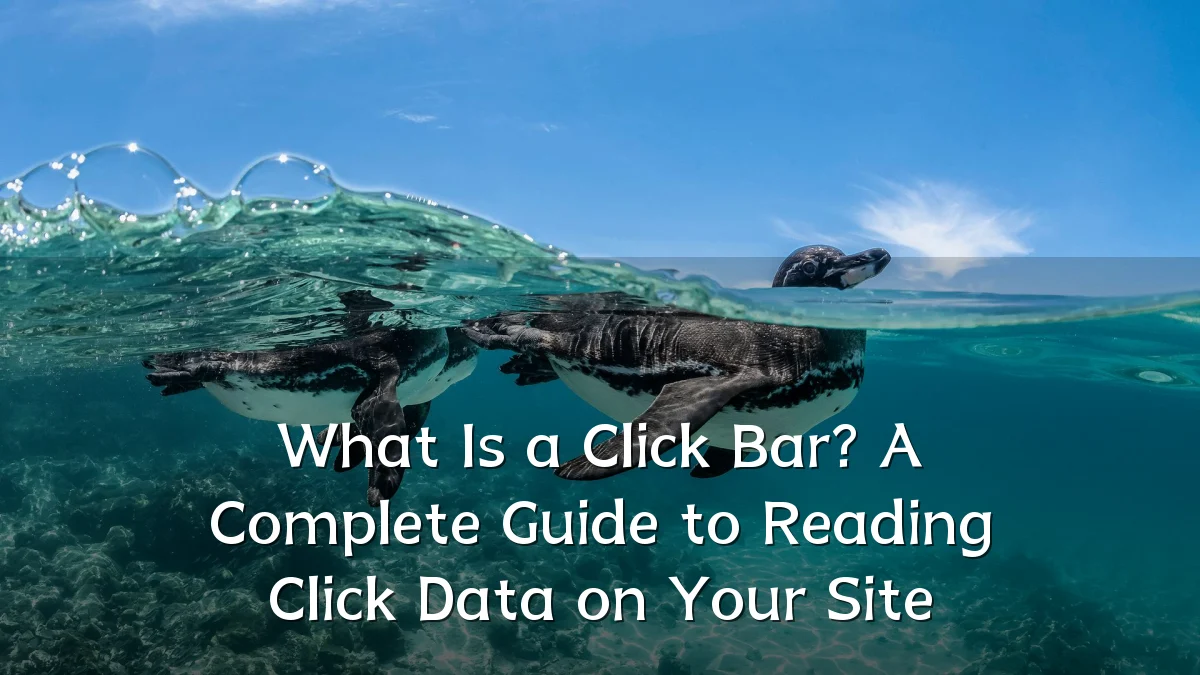 What Is a Click Bar? A Complete Guide to Reading Click Data on Your Site