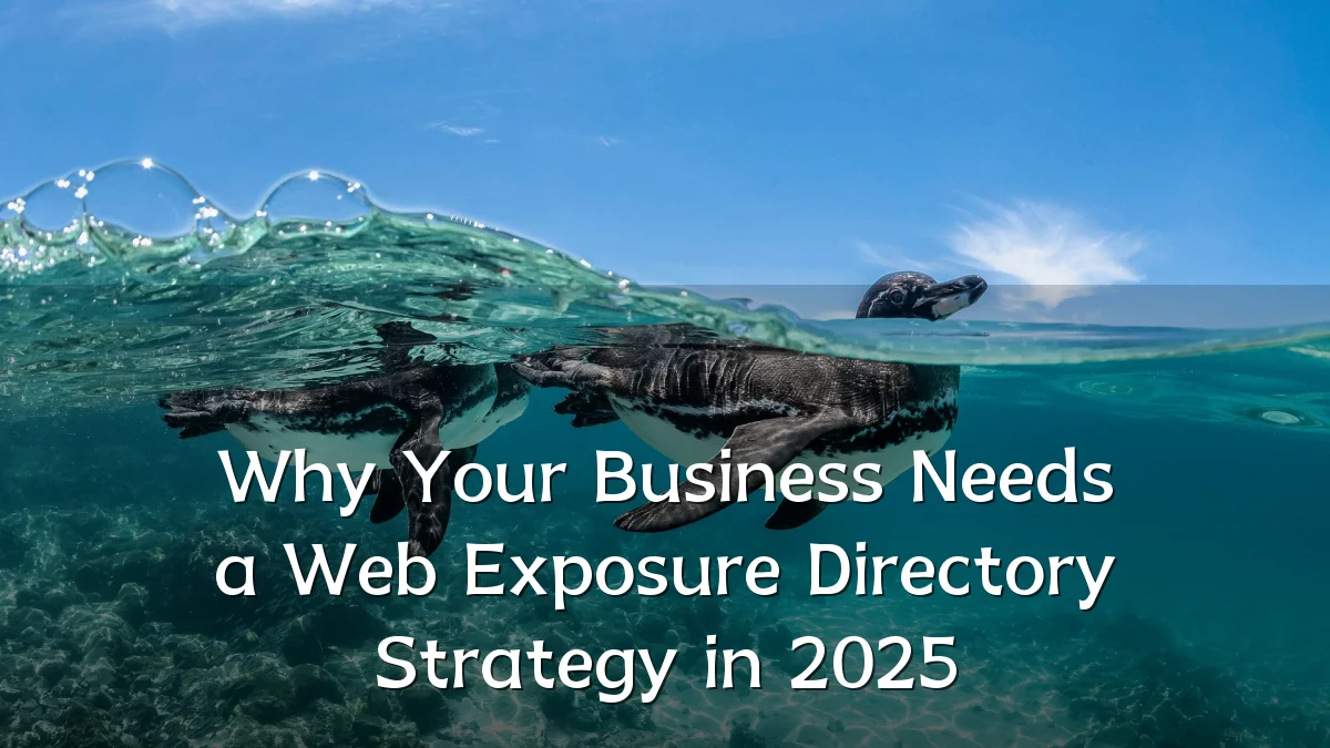 Why Your Business Needs a Web Exposure Directory Strategy in 2025
